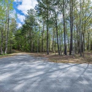 Photo #2 of 24+AC Brewers Neck Road, Carrollton, Virginia 27.3 acres