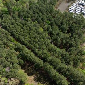 Photo #11 of 24+AC Brewers Neck Road, Carrollton, Virginia 27.3 acres