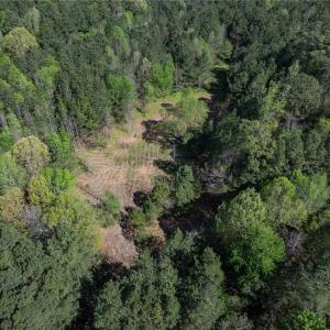 Photo #13 of 24+AC Brewers Neck Road, Carrollton, Virginia 27.3 acres