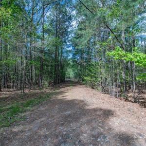 Photo #5 of 24+AC Brewers Neck Road, Carrollton, Virginia 27.3 acres