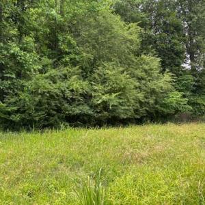 Photo #1 of Lot 2 Branch Bridge Street, Branchville, Virginia 0.5 acres