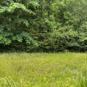 Photo #5 of Lot 2 Branch Bridge Street, Branchville, Virginia 0.5 acres