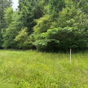 Photo #6 of Lot 2 Branch Bridge Street, Branchville, Virginia 0.5 acres