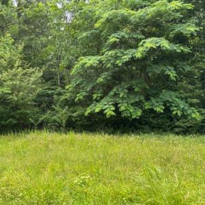 Photo #2 of Lot 1 Branch Bridge Street, Branchville, Virginia 0.6 acres