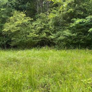 Photo #1 of Lot 3 Branch Bridge Street, Branchville, Virginia 0.5 acres