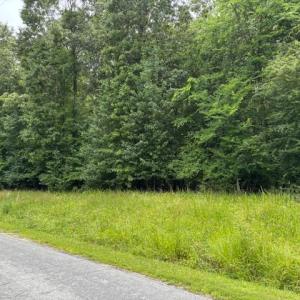 Photo #5 of Lot 3 Branch Bridge Street, Branchville, Virginia 0.5 acres