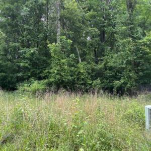 Photo #6 of Lot 3 Branch Bridge Street, Branchville, Virginia 0.5 acres
