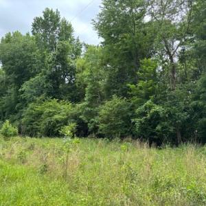 Photo #7 of Lot 3 Branch Bridge Street, Branchville, Virginia 0.5 acres