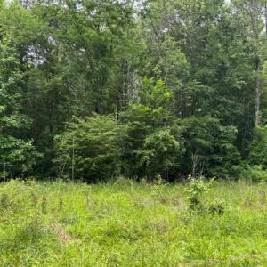 Photo #2 of Lot 4 Branch Bridge Street, Branchville, Virginia 0.5 acres