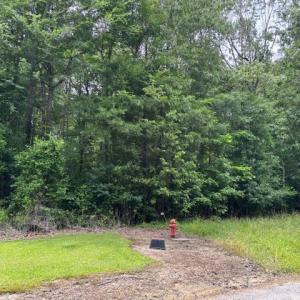 Photo #7 of Lot 4 Branch Bridge Street, Branchville, Virginia 0.5 acres