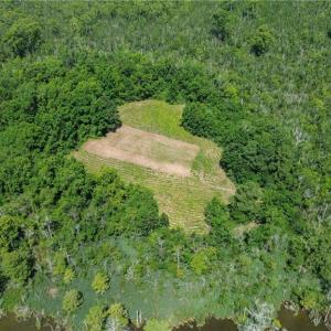 Photo #3 of 150 Hampton Road, Coinjock, North Carolina 95.0 acres