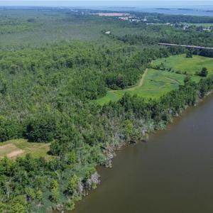 Photo #8 of 150 Hampton Road, Coinjock, North Carolina 95.0 acres