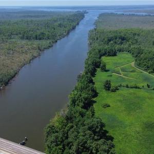 Photo #9 of 150 Hampton Road, Coinjock, North Carolina 95.0 acres