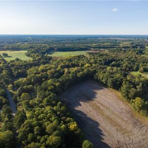 Photo #14 of 13 AC Whaleyville Boulevard, Suffolk, Virginia 13.0 acres