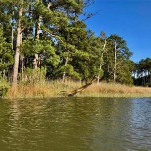 Photo #2 of 81 Finns Point Ln, Hampton, Virginia 5.5 acres