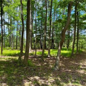 Photo #3 of 81 Finns Point Ln, Hampton, Virginia 5.5 acres