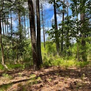 Photo #4 of 81 Finns Point Ln, Hampton, Virginia 5.5 acres