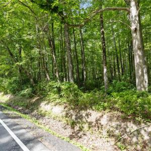 Photo #11 of 32+AC Johnstown Road, Chesapeake, Virginia 32.6 acres