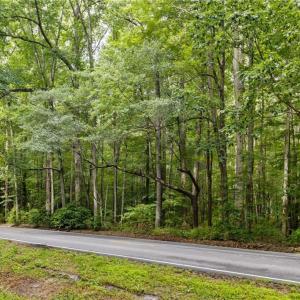 Photo #13 of 32+AC Johnstown Road, Chesapeake, Virginia 32.6 acres