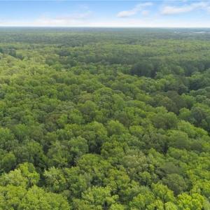 Photo #16 of 32+AC Johnstown Road, Chesapeake, Virginia 32.6 acres