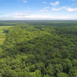 Photo #17 of 32+AC Johnstown Road, Chesapeake, Virginia 32.6 acres