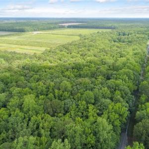 Photo #18 of 32+AC Johnstown Road, Chesapeake, Virginia 32.6 acres