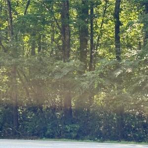 Photo #3 of 32+AC Johnstown Road, Chesapeake, Virginia 32.6 acres