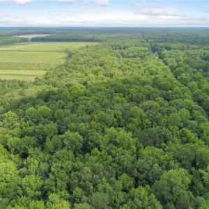 Photo #21 of 32+AC Johnstown Road, Chesapeake, Virginia 32.6 acres