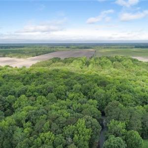Photo #23 of 32+AC Johnstown Road, Chesapeake, Virginia 32.6 acres