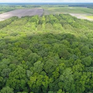 Photo #25 of 32+AC Johnstown Road, Chesapeake, Virginia 32.6 acres