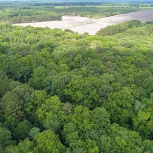 Photo #26 of 32+AC Johnstown Road, Chesapeake, Virginia 32.6 acres
