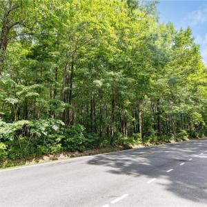 Photo #4 of 32+AC Johnstown Road, Chesapeake, Virginia 32.6 acres