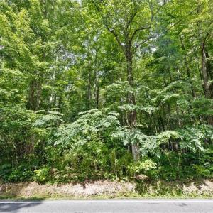 Photo #6 of 32+AC Johnstown Road, Chesapeake, Virginia 32.6 acres