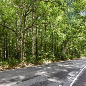 Photo #9 of 32+AC Johnstown Road, Chesapeake, Virginia 32.6 acres