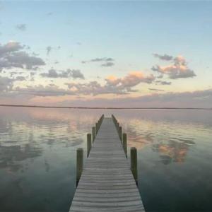 Photo #11 of 213 Martin Farm Lane, Knotts Island, North Carolina 44.4 acres