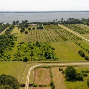 Photo #19 of 213 Martin Farm Lane, Knotts Island, North Carolina 44.4 acres