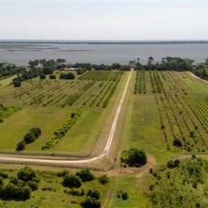 Photo #20 of 213 Martin Farm Lane, Knotts Island, North Carolina 44.4 acres