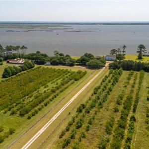 Photo #21 of 213 Martin Farm Lane, Knotts Island, North Carolina 44.4 acres