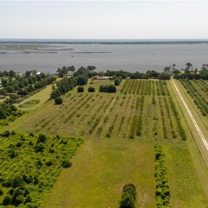 Photo #22 of 213 Martin Farm Lane, Knotts Island, North Carolina 44.4 acres