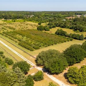 Photo #23 of 213 Martin Farm Lane, Knotts Island, North Carolina 44.4 acres