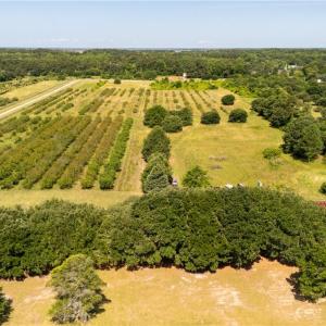 Photo #24 of 213 Martin Farm Lane, Knotts Island, North Carolina 44.4 acres