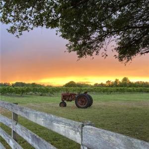 Photo #28 of 213 Martin Farm Lane, Knotts Island, North Carolina 44.4 acres
