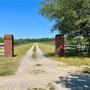 Photo #31 of 213 Martin Farm Lane, Knotts Island, North Carolina 44.4 acres