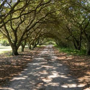 Photo #33 of 213 Martin Farm Lane, Knotts Island, North Carolina 44.4 acres