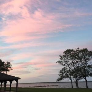 Photo #6 of 213 Martin Farm Lane, Knotts Island, North Carolina 44.4 acres