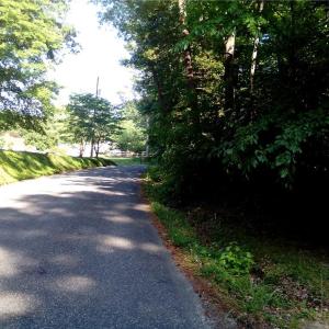 Photo #12 of 25+AC Millers Landing Road, Woods Cross Roads, Virginia 34.1 acres