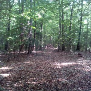 Photo #4 of 25+AC Millers Landing Road, Woods Cross Roads, Virginia 34.1 acres