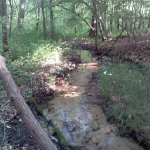 Photo #5 of 25+AC Millers Landing Road, Woods Cross Roads, Virginia 34.1 acres