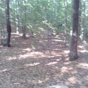 Photo #6 of 25+AC Millers Landing Road, Woods Cross Roads, Virginia 34.1 acres