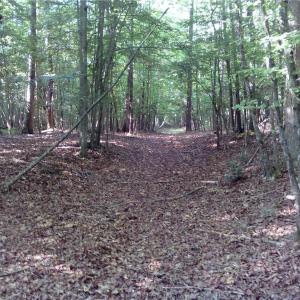 Photo #10 of 25+AC Millers Landing Road, Woods Cross Roads, Virginia 34.1 acres
